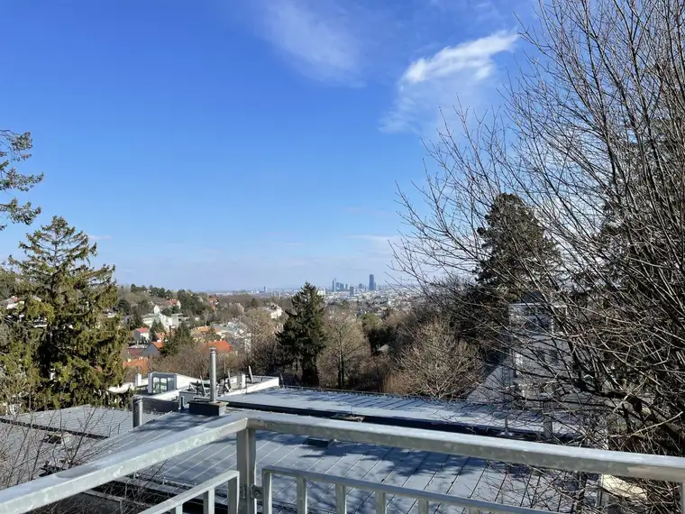 PENTHOUSE LIVING - ATEMBERAUBENDER WIENBLICK - DREI RIESEN TERRASSEN - ERSTBEZUG!!