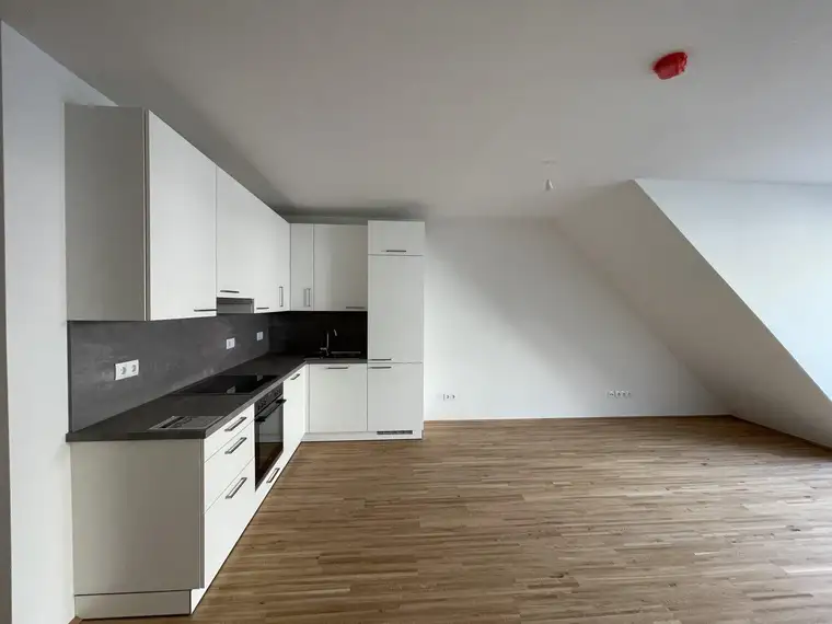 lichtdurchflutete 3-Zimmer Wohnung in ruhiger Lage *ALF 24* PROVISIONSFREI