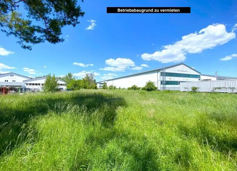 10.000m2 Betriebsbaugrund zu vermieten - ab sofort verfügbar!