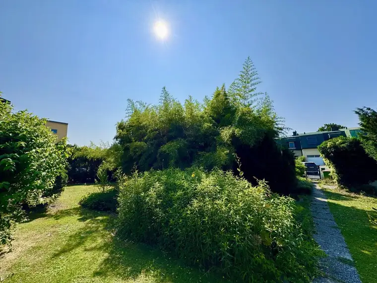 Donau Living - Baugrundstück mit vielseitigen Nutzungsmöglichkeiten