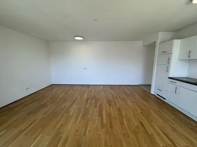 1 Zimmer Wohnung! Bezugsfertig ab 1.12! Schnell sein!