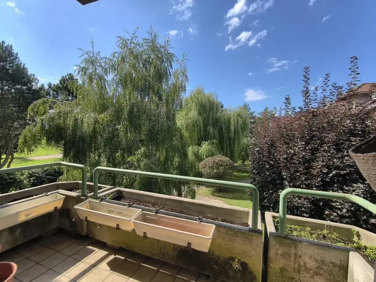 Geräumige 3-Zimmer-Wohnung mit Loggia in ruhiger, grüner Lage - Perfekte Raumaufteilung - Neue Küche!