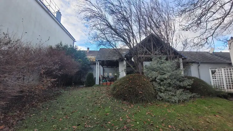 Grundstück mit Altbestand