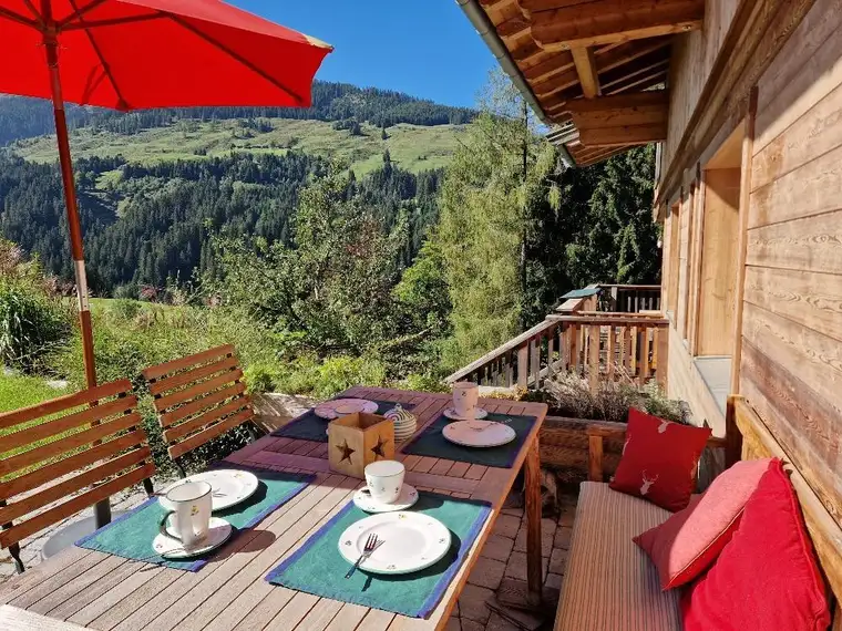 Ferienwohnung/Freizeitwohnsitz in den Kitzbühler Alpen