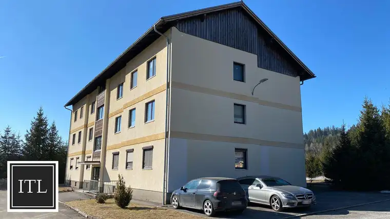 Bezirk Leoben: Zinshauspaket mit 34 Wohnungen und 26 Garagen