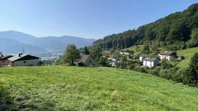 Seltene Gelegenheit in Proleb: 6.057 m² Bauland &amp; Freiland in herrlicher Aussichtslage am Waldrand!