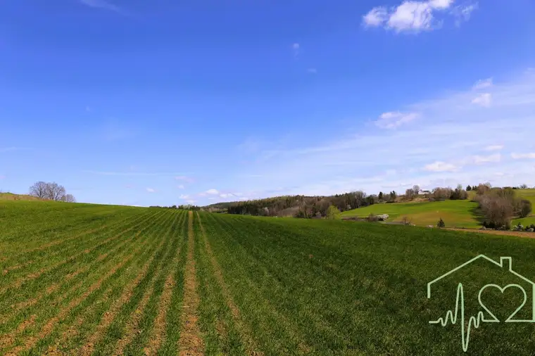 Bauen Sie Ihr Traumhaus in Olbendorf/Burgenland - Grundstück in Ruhelage mit Panoramablick zum Kauf!