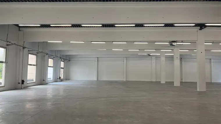 Büro &amp; Lagerhalle direkt an der Triesterstraße B17 zu mieten
