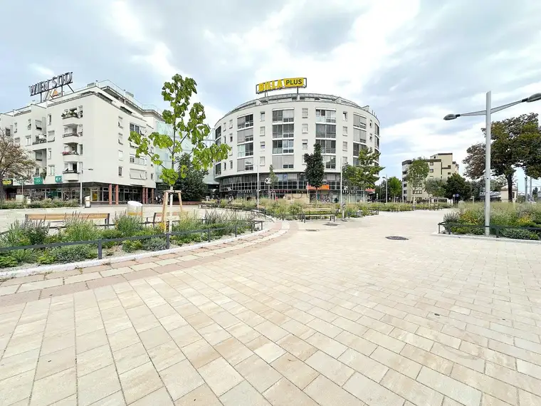 Top Lage, Top Rendite 6% - großzügiges Büro mit Pool und Garage in Wien - Perfekt für Praxis oder Büro!