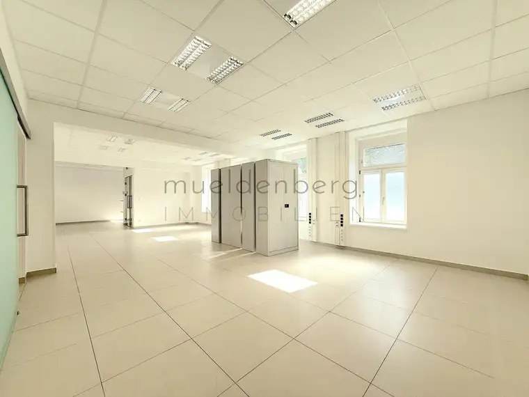 Mueldenberg Immobilien, Mueldenberg Immobilien e.U.