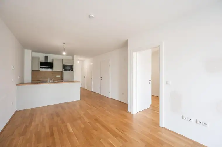 Julia Kolarik, JuNi Immobilien GmbH