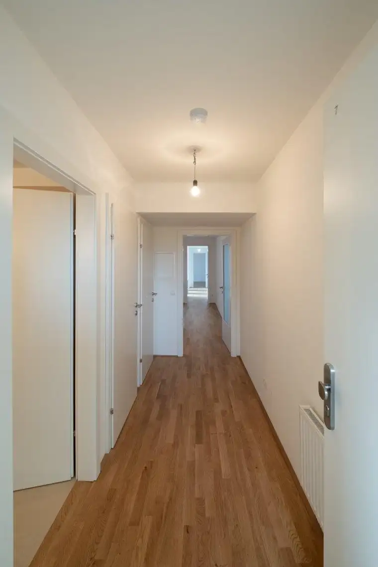 Xaver Freigassner, ViaLibre Immobilien GmbH