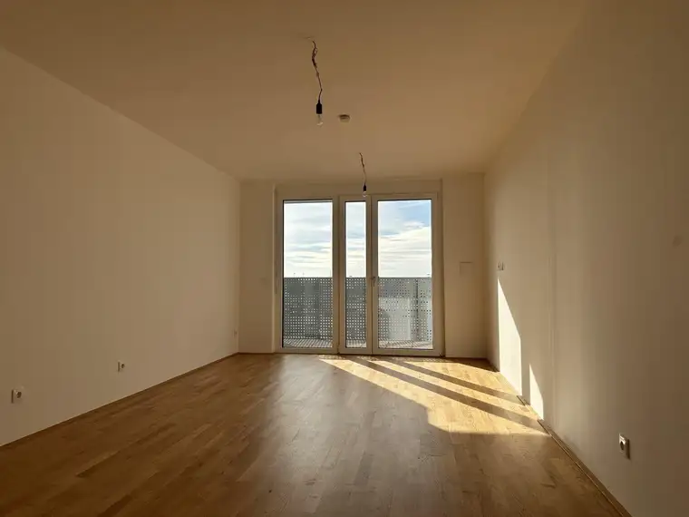 Xaver Freigassner, ViaLibre Immobilien GmbH