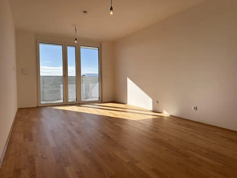 Xaver Freigassner, ViaLibre Immobilien GmbH