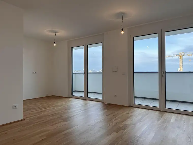Xaver Freigassner, ViaLibre Immobilien GmbH