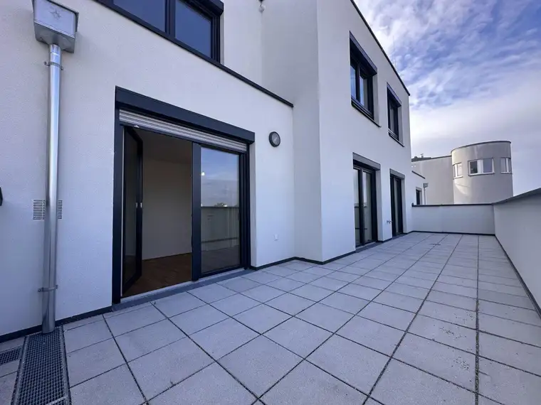 Xaver Freigassner, ViaLibre Immobilien GmbH