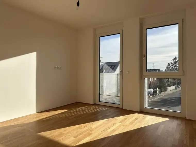 Xaver Freigassner, ViaLibre Immobilien GmbH