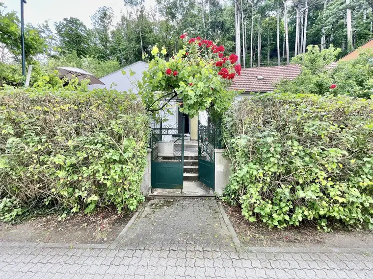 EINFAMILIENHAUS IN RUHELAGE MIT GROSSEM POTENZIAL