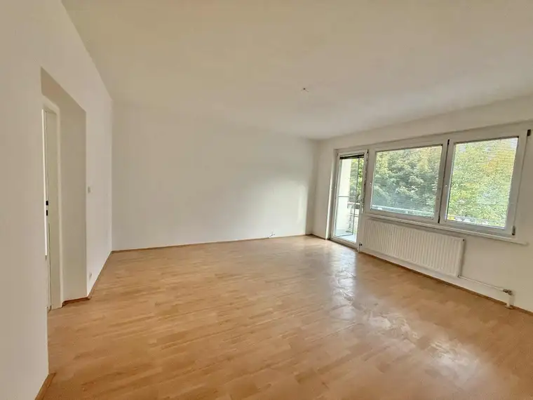 ***ATTRAKTIVES INVESTMENTPAKET IN PINKAFELD - WOHNUNGEN MIT LAUFENDEN MIETEINNAHME***