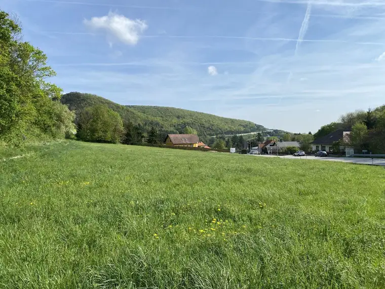 Großes Grundstück 4.267m² in Weissenbach/Hinterbrühl mit vielen Möglichkeiten!