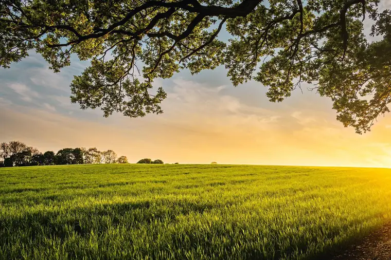 30.000 m² Bauland in Top-Lage Treibach-Althofen – großes Investmentpotenzial!