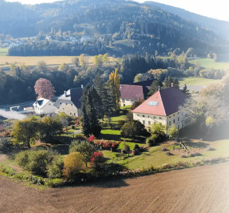 Historischer Gutshof mit Schlosscharakter in Althofen – vielseitiges Entwicklungspotenzial
