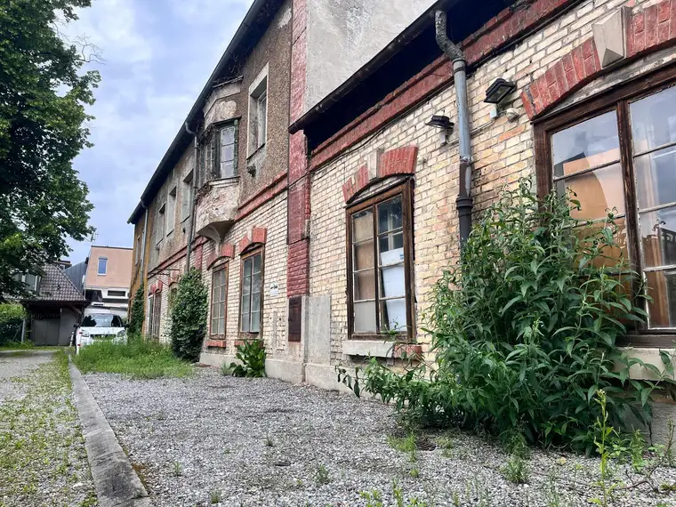 Mario Gallop, Fam. Gallop Immobilientreuhand GmbH