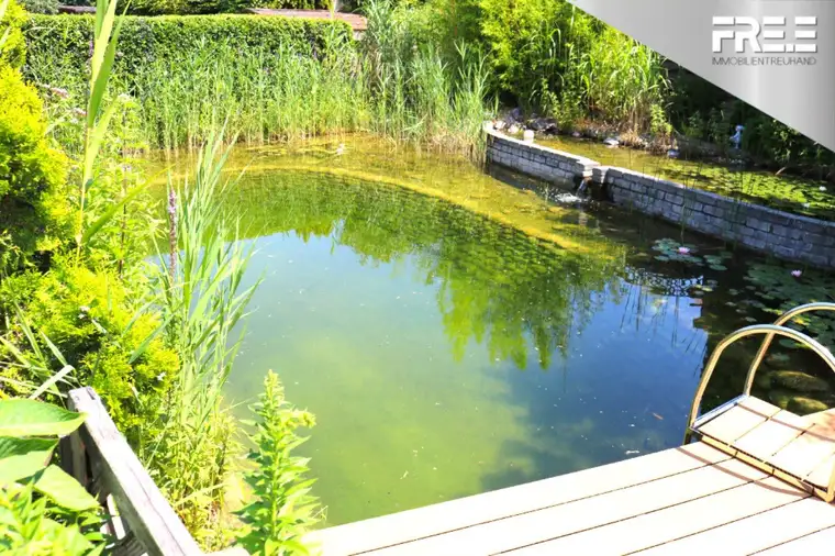 TRAUMHAUS | Inklusive großzügiger Garten mit Schwimmteich, Balkon, Terrasse, Garage &amp; mehr