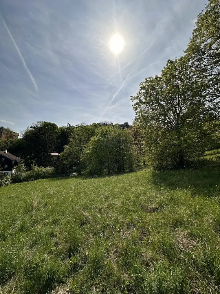 Traumhafter 2.000m² Villen Baugrund in Bestlage am Buchberg - Klosterneuburg