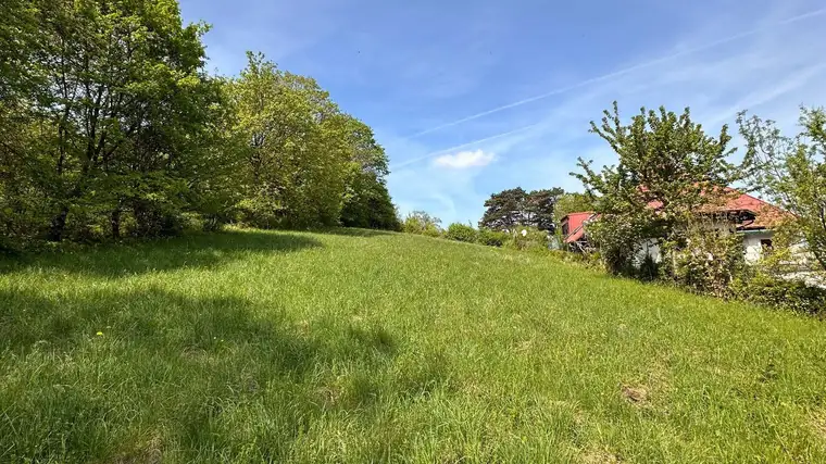 VILLEN-BAUGRUND - 2.000m² in Bestlage am Buchberg mit Studie - Klosterneuburg