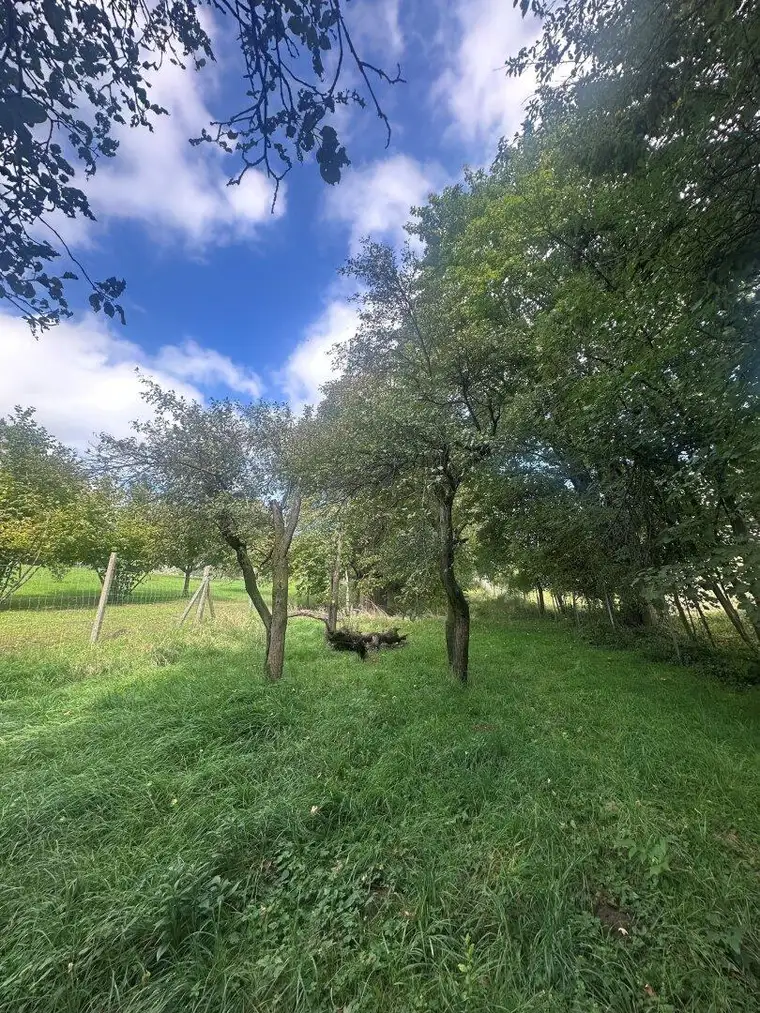 Hagenbrunn im Speckgürtel Wiens - Großzügiges Baugrundstück mit ca 2500m²