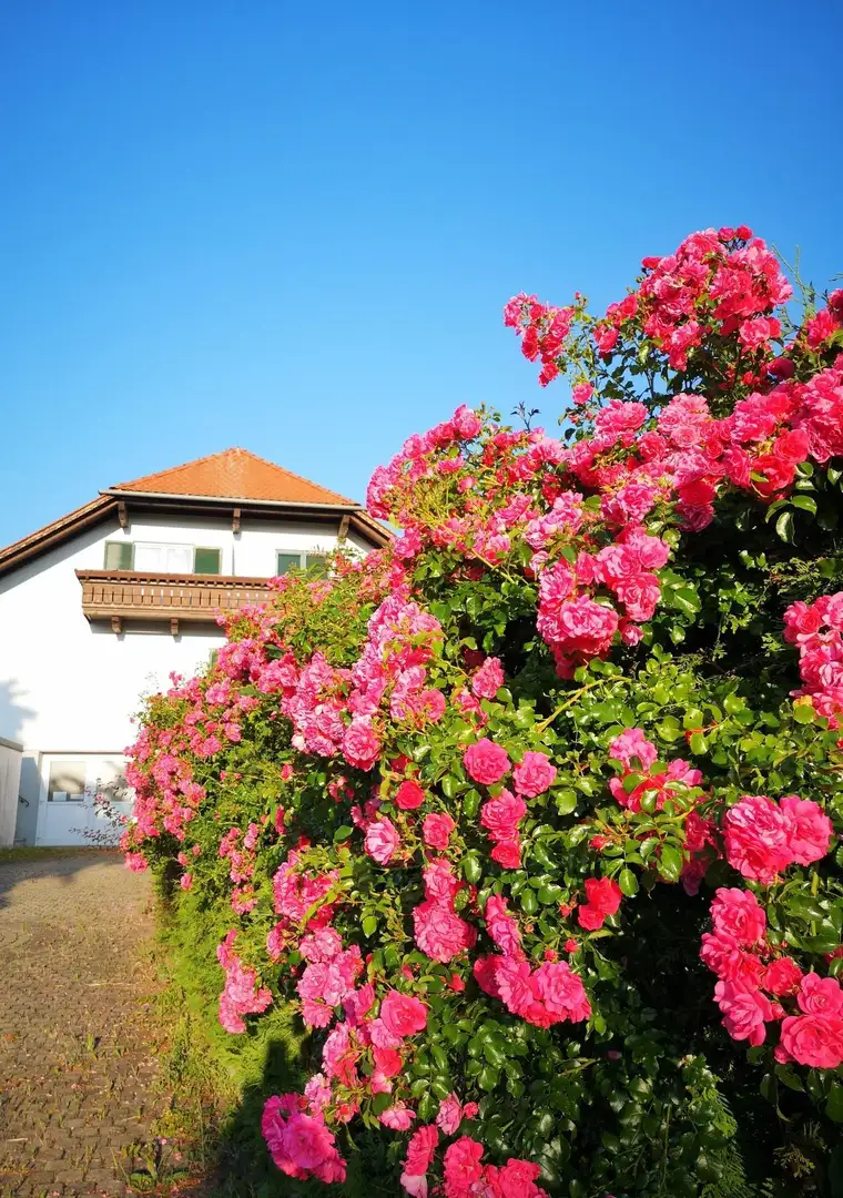 Traumhafte Landhaus-Villa mit großem Garten, Baugrund und Panoramablick, viel Diskretion und Potenzial, nah altem Ortskern im VIP-Thermen-Kurort.