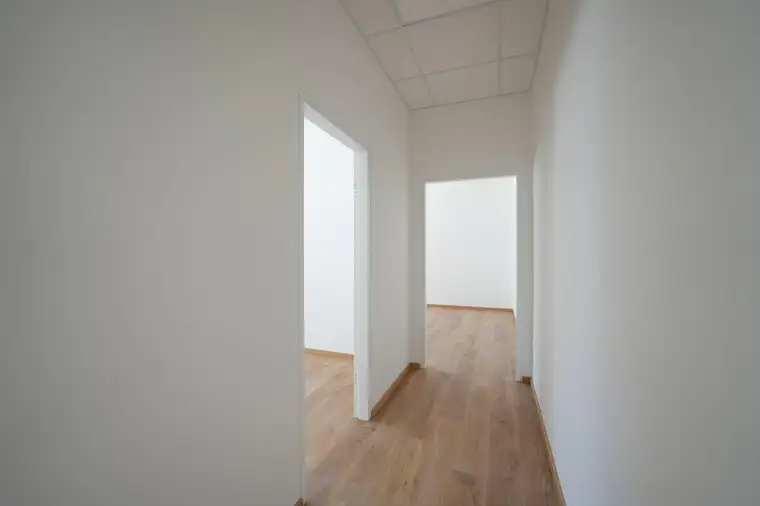 Attraktives Büro/Praxis in Wels: Erster Bezug, 50m², 3 Zimmer, barrierefrei