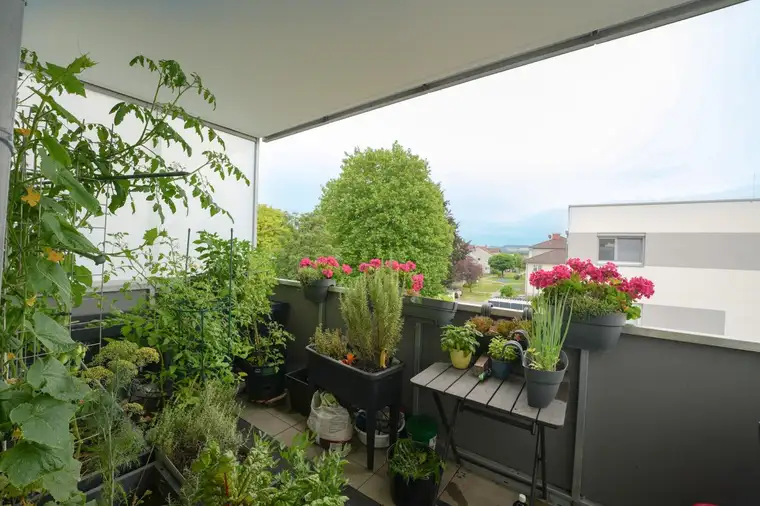 Traumhafte 4-Zimmer-Wohnung mit Loggia in Edt bei Lambach – Ihr neues Zuhause!