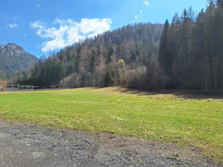 Traumgrundstück in absoluter Ruhelage angrenzend am Wald - nahe Mariazell