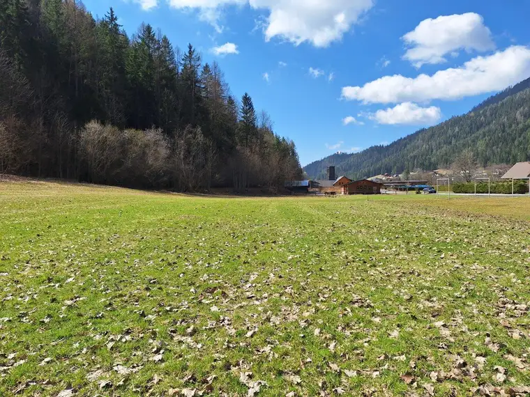 Top Preis! 7.179 m² in bester Ruhelage - hier ist Platz für Ihre Ideen