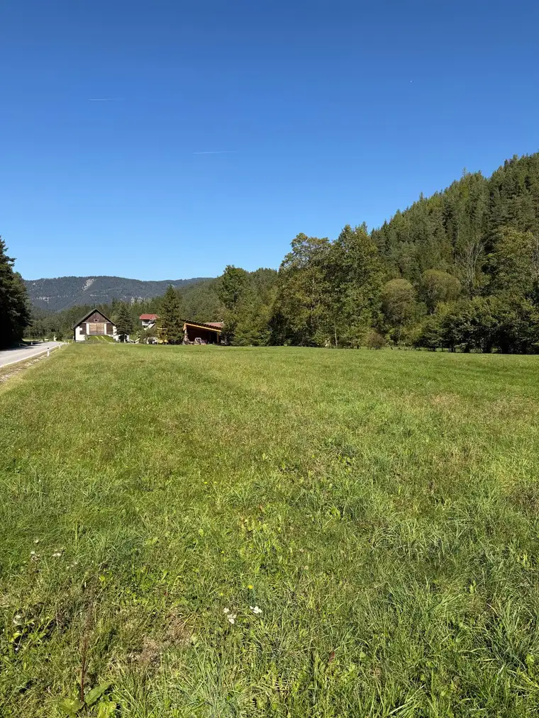 Ein Paradies für Pferde- &amp; Naturliebhaber - Über 1,2 Hektar Grünland in Kernhof