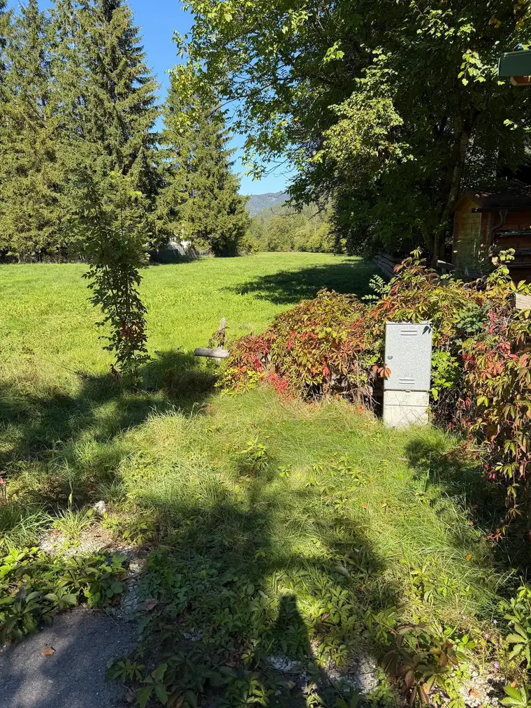 Wohnen im Grünen - Großzügiges Baugrundstück in idyllischer Naturlage in Kernhof