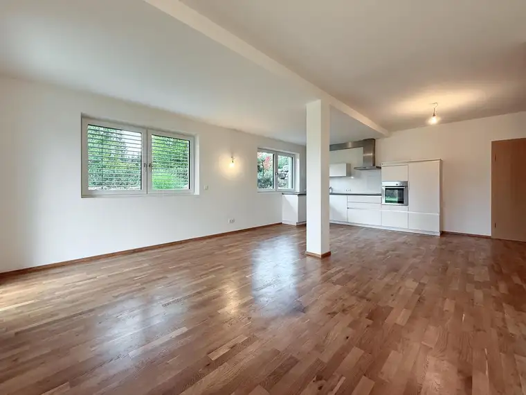 Manuel Anibas, Anibas Immobilien