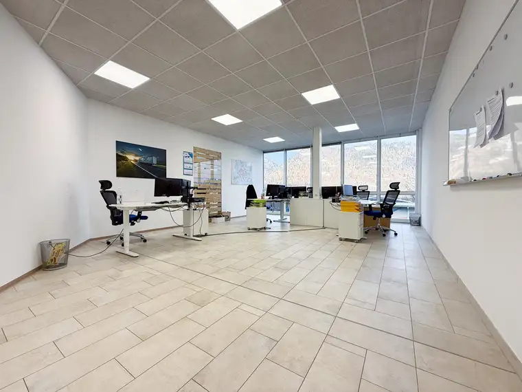 Manuel Anibas, Anibas Immobilien