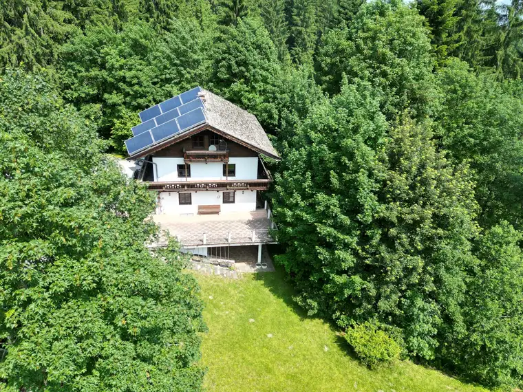 Green Living auf XXL-Grundstück