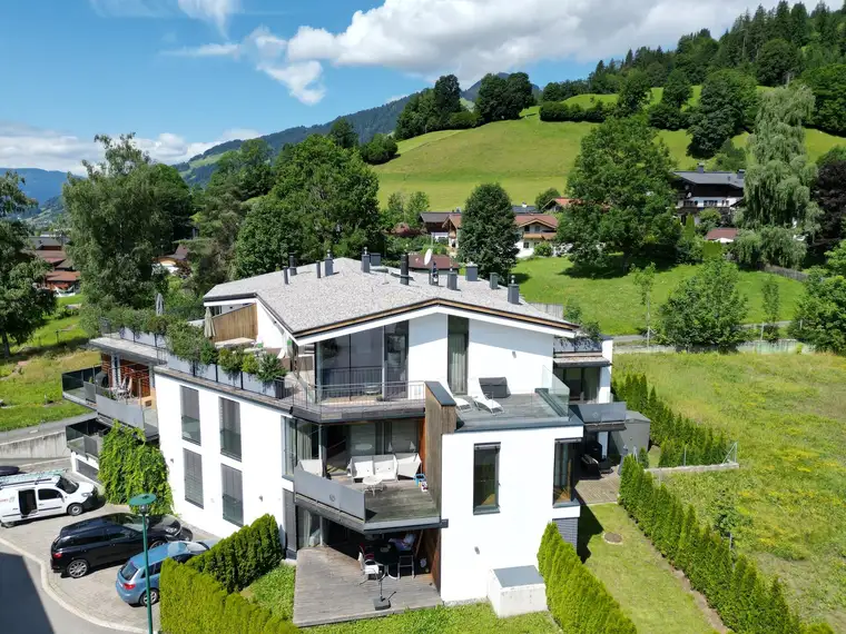 Manuel Anibas, Anibas Immobilien