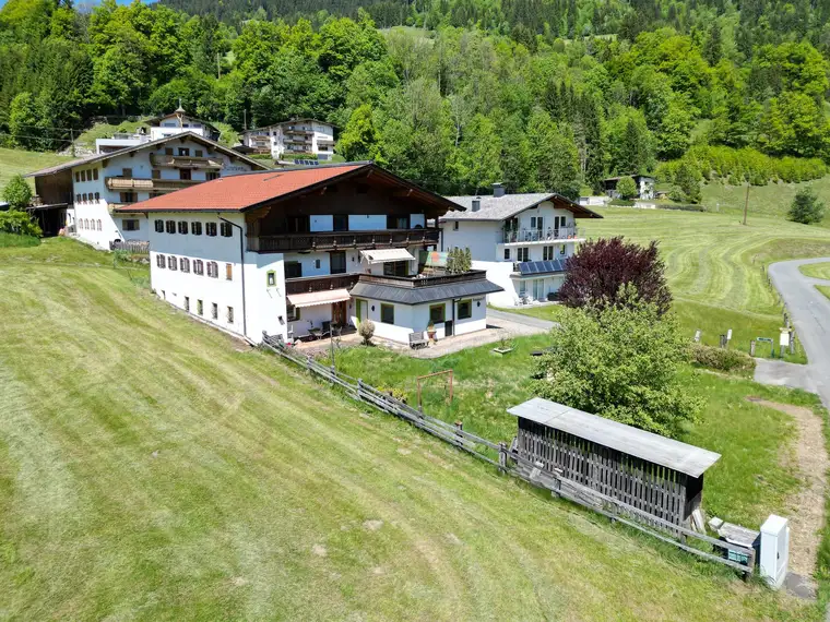 Manuel Anibas, Anibas Immobilien