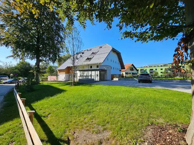 Sandro Anibas, Anibas Immobilien