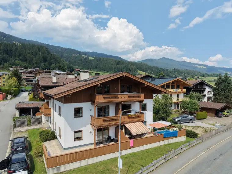 Ing. Sandro Anibas, Anibas Immobilien