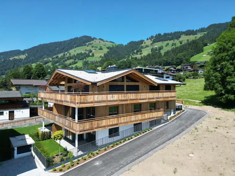 Ing. Sandro Anibas, Anibas Immobilien