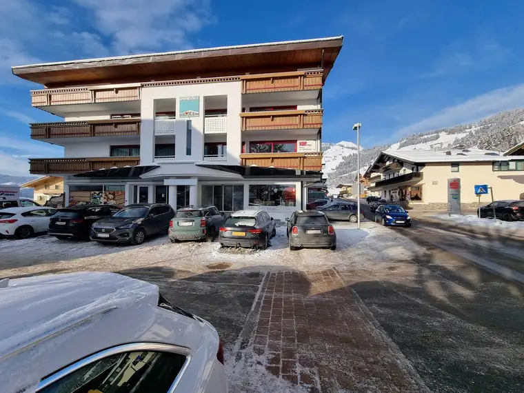 Sandro Anibas, Anibas Immobilien