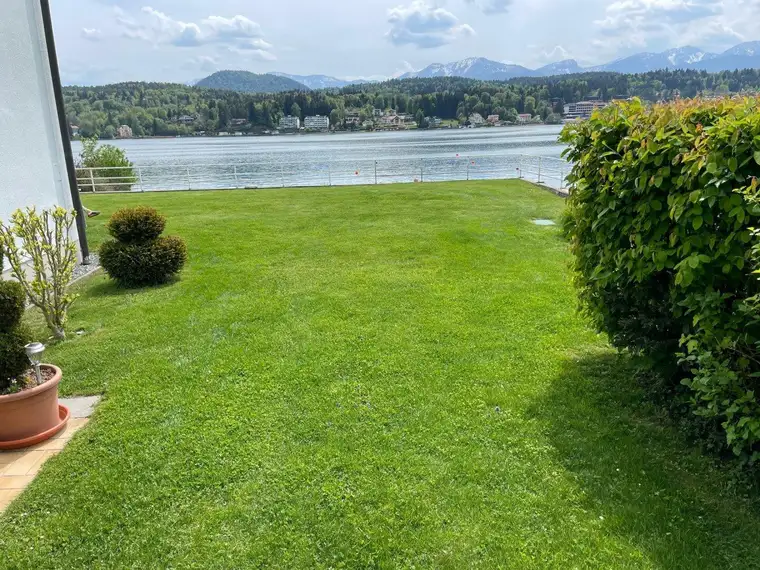Felizitas Kelz, Patronum Real Estate GmbH