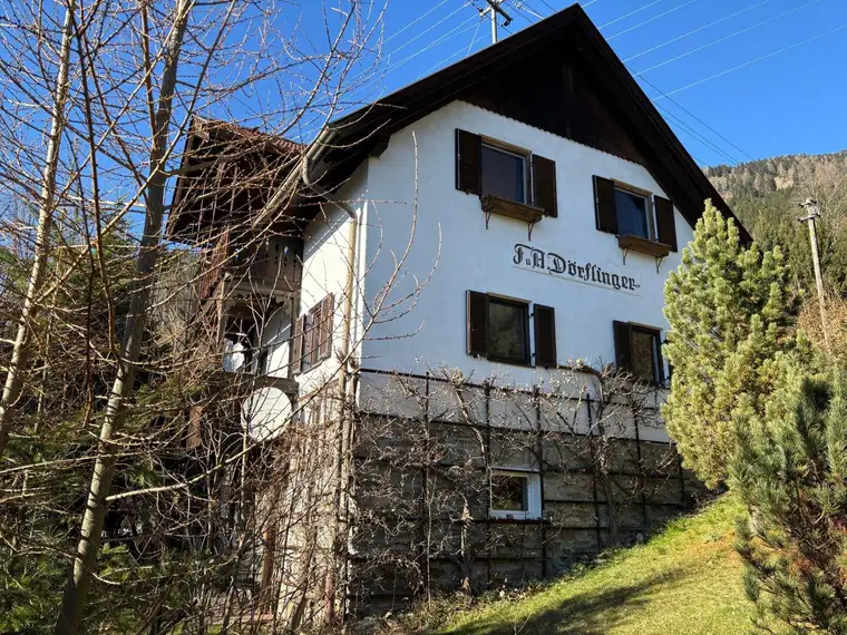Felizitas Kelz, Patronum Real Estate GmbH