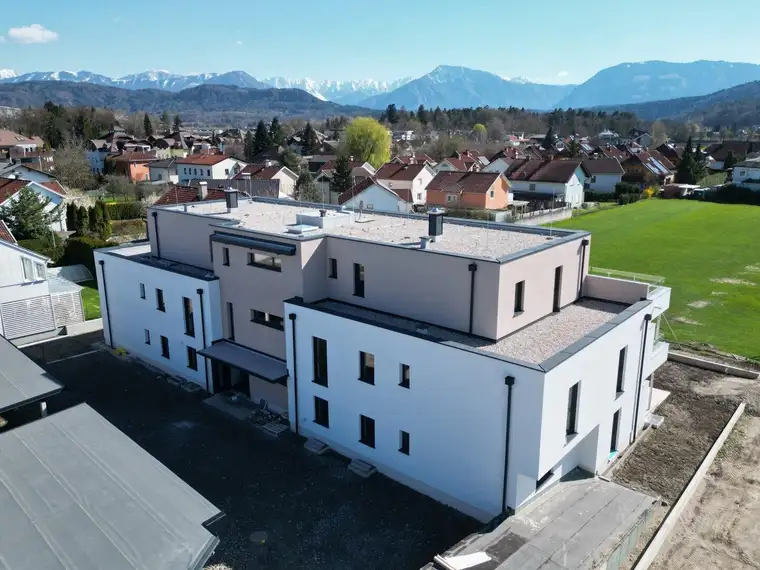 Michael Krassnig, Patronum Real Estate GmbH